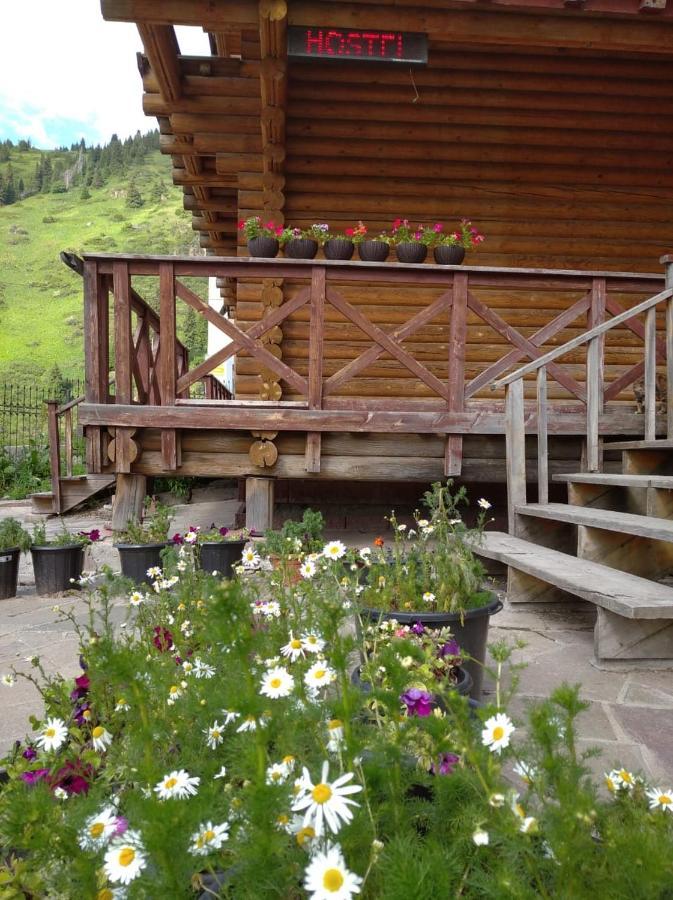 Hostel Shymbulak الماتي المظهر الخارجي الصورة